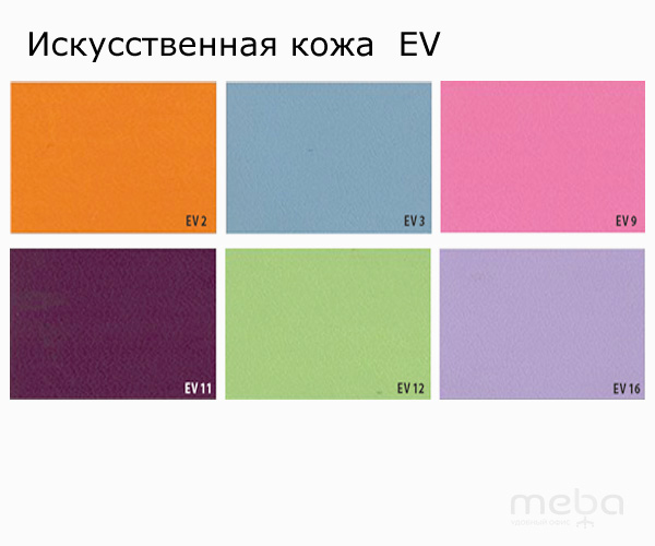 ������������� ���� EV 