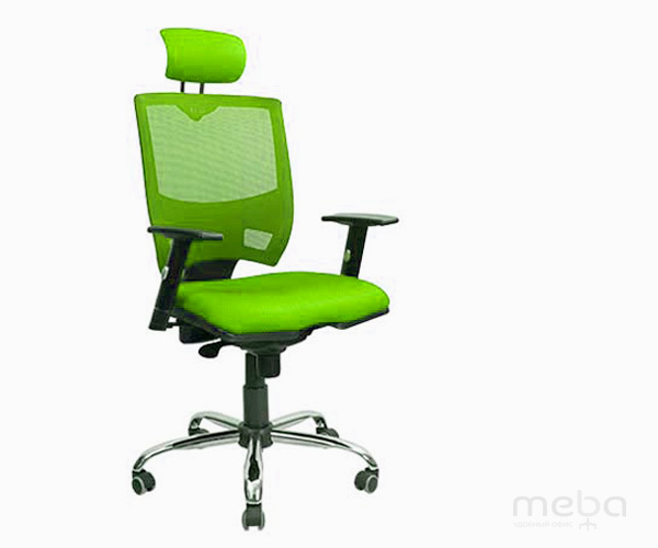 ����� ������ �������