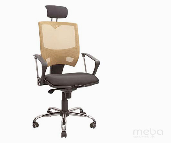 ����� ������ �������