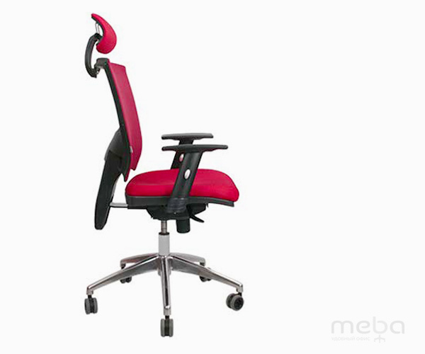 ����� ������ �������