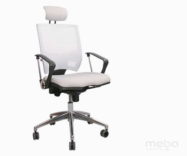 ����� ������ �������