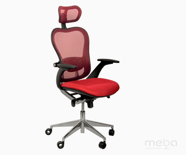 ������ �����