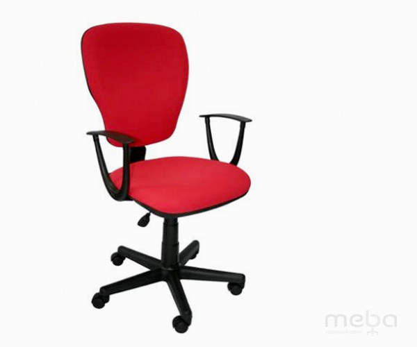 ������ ����