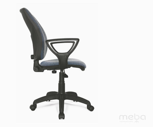 ������ ����